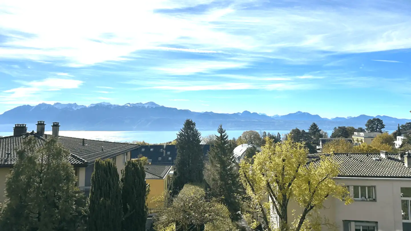 Wohnung kaufen - 1009 Pully