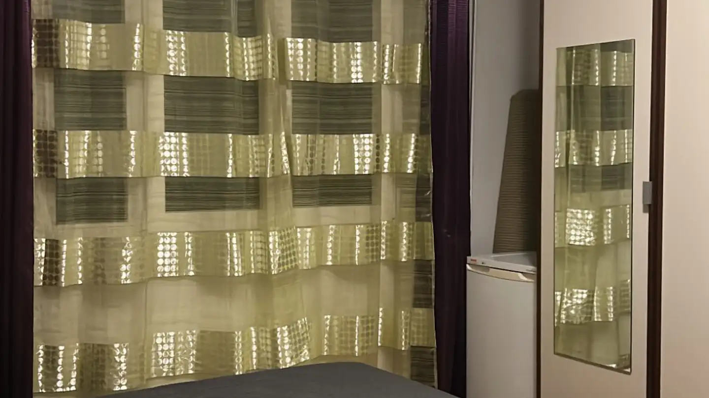 Stanza singola in affitto - 1205 Genève - Photo 4