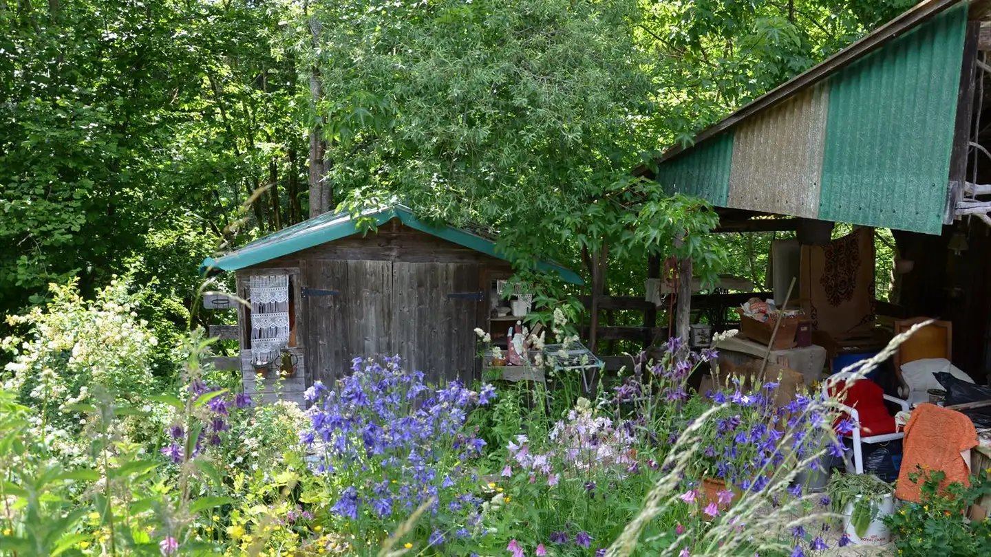 Casa singola in vendita - Route De Gérignoz 39, 1660 Château-d'Oex - Photo 3