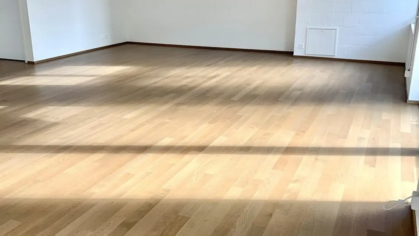 Commercial for rent - Hohenrainstrasse 26b, 4133 Pratteln