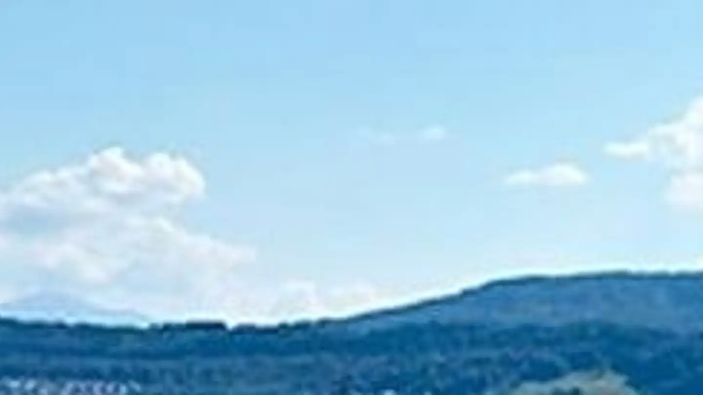 Villa in vendita - 8703 Erlenbach ZH