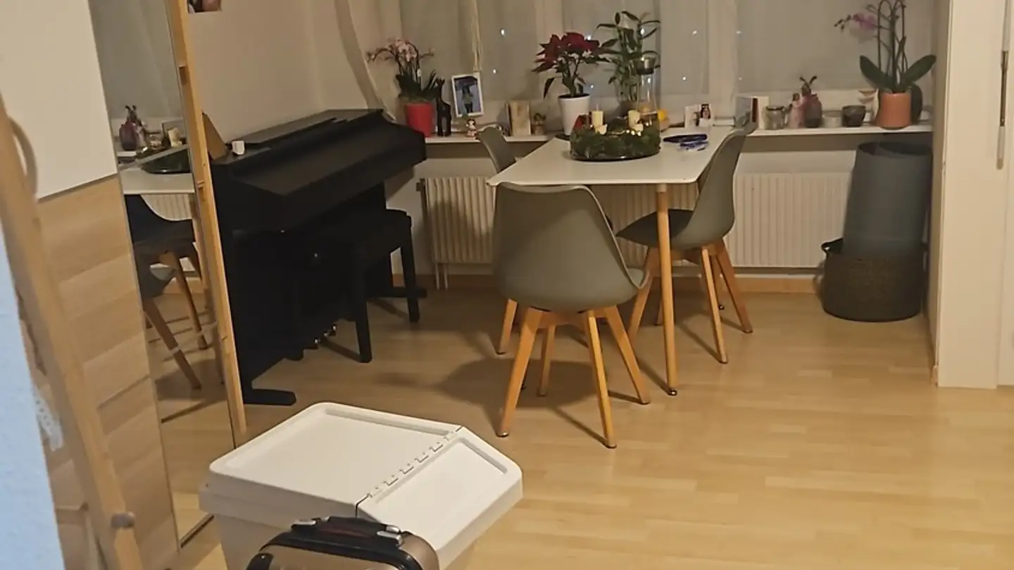 Apartment for rent - 8134 Adliswil - Photo 4