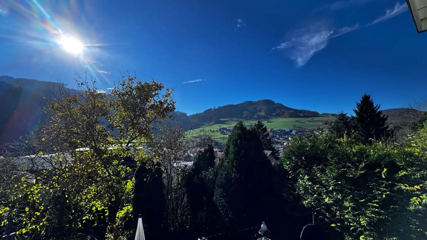 Single house for sale - Schmittenackerstrasse, 4448 Läufelfingen - Photo 2