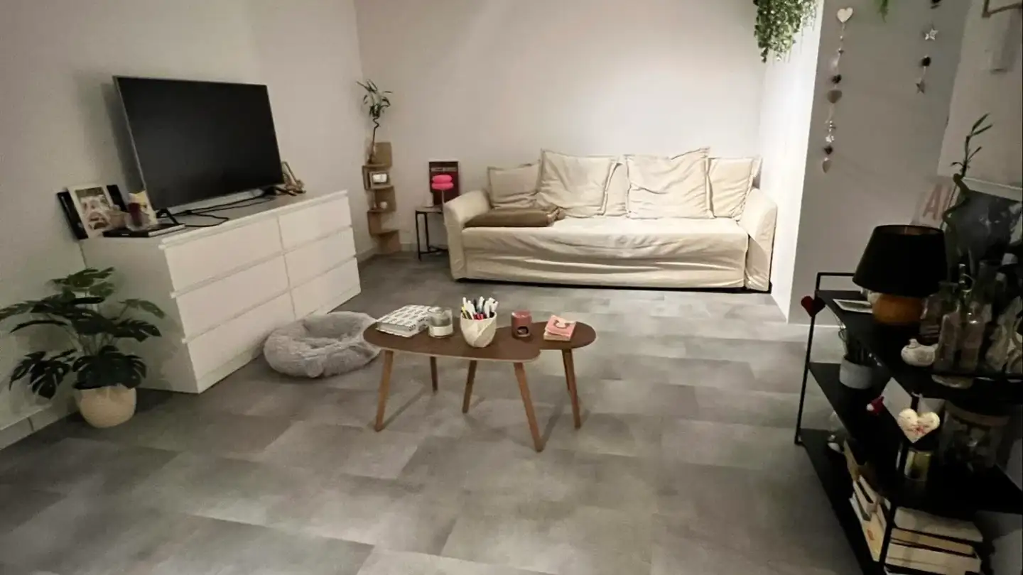 Appartamento in affitto - 1740 Neyruz FR
