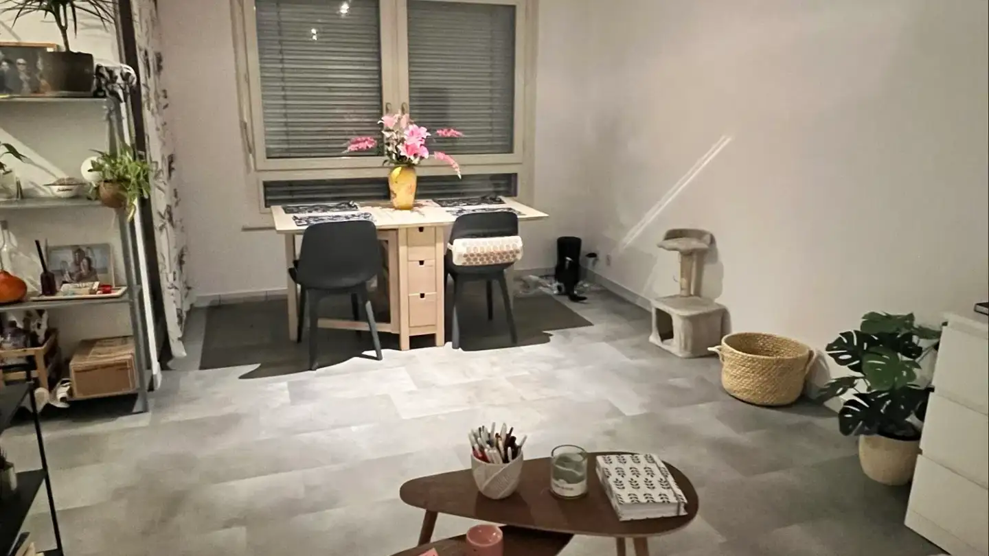 Appartamento in affitto - 1740 Neyruz FR - Foto 2