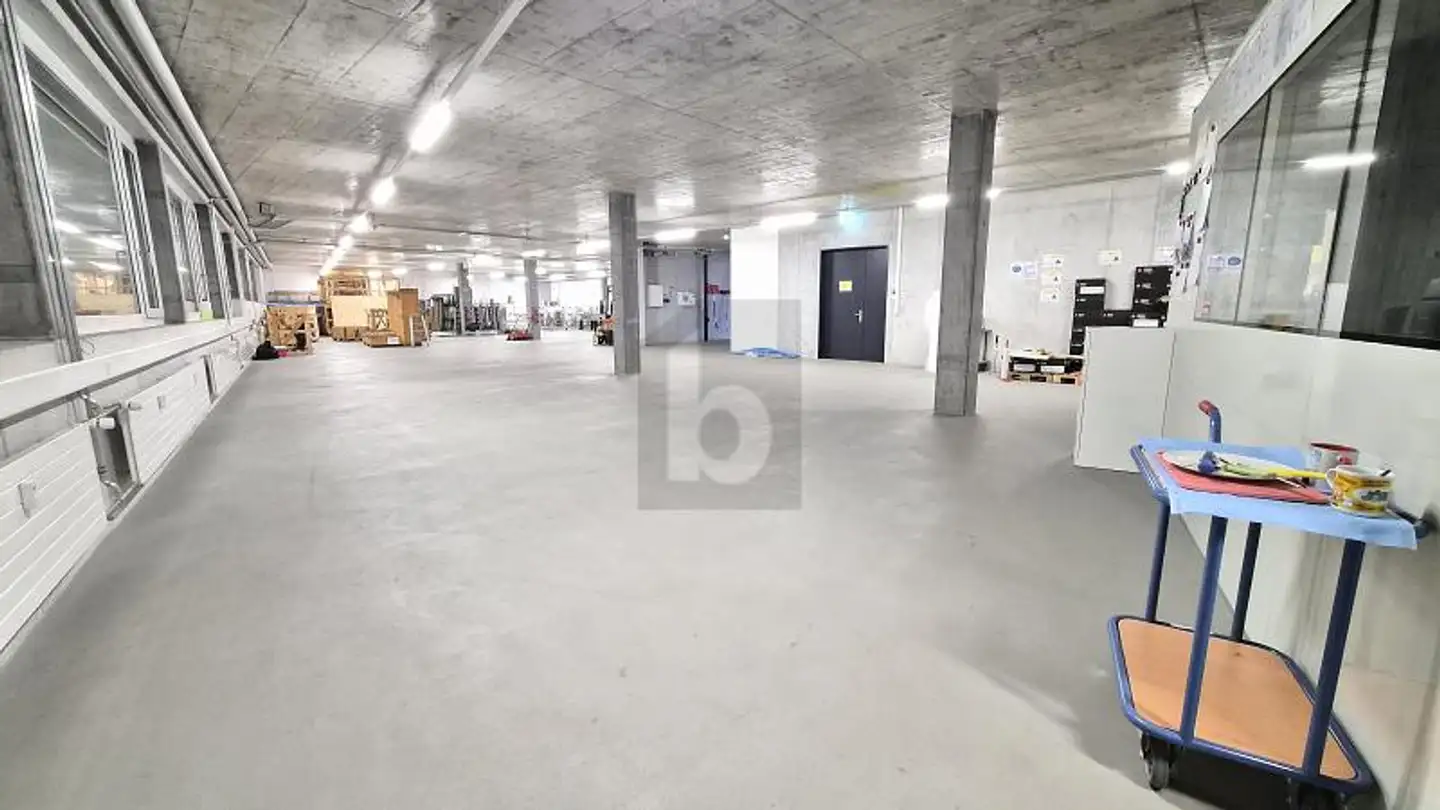 Industrial property for rent - 8157 Dielsdorf