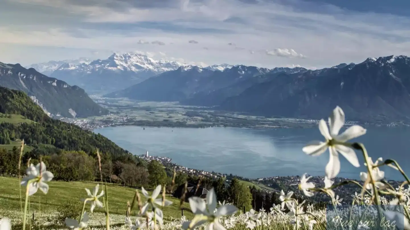 Apartment for sale - 1820 Territet