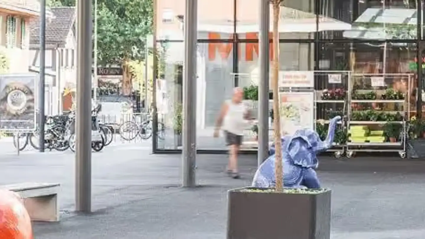 Shop for rent - 8910 Affoltern am Albis