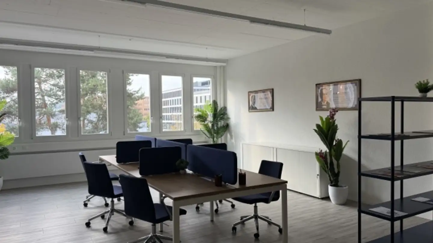 Commerciale in affitto - Hinterbergstrasse 11, 6330 Cham - Foto 4