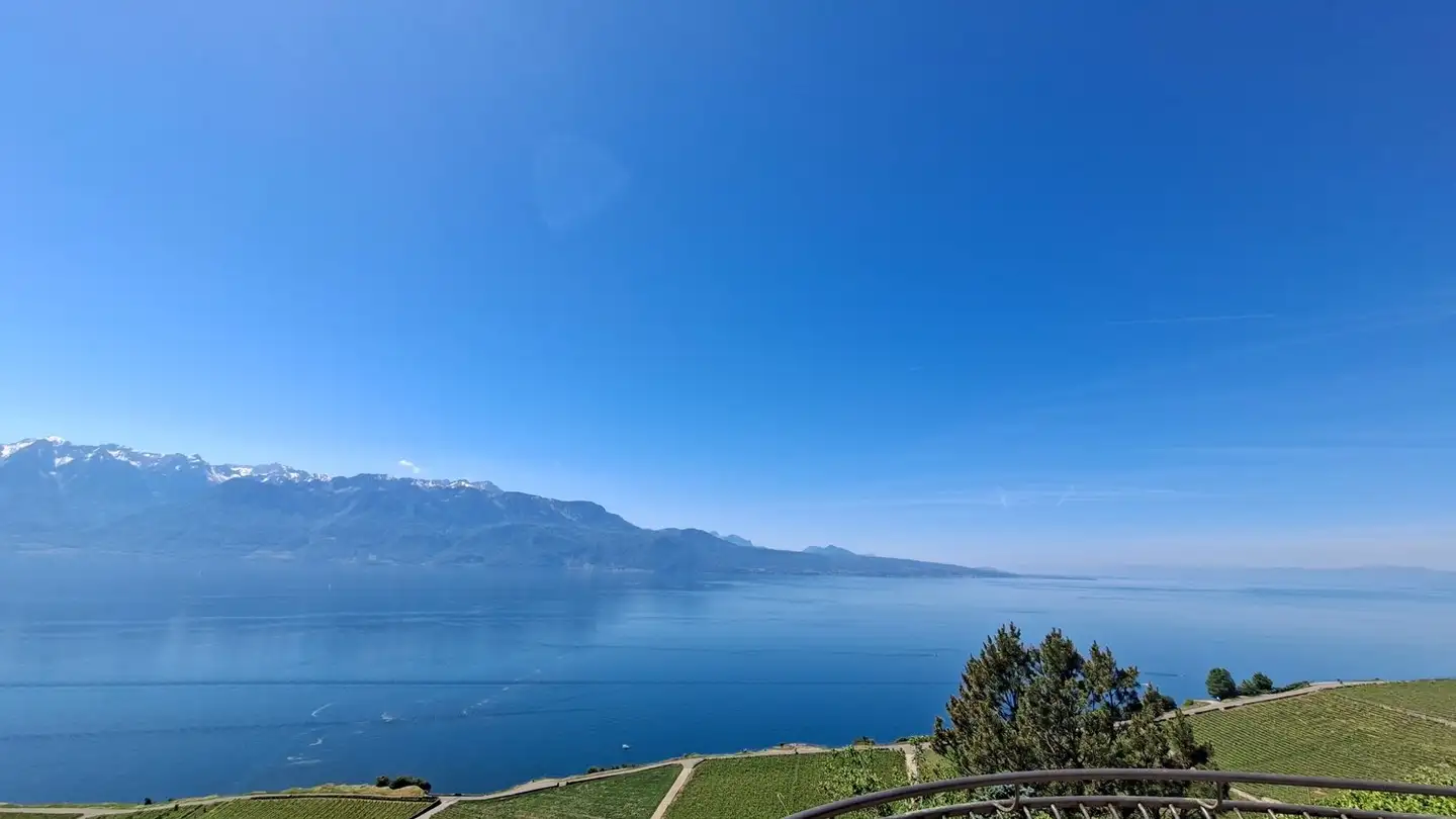 Apartment for rent - 1071 St-Saphorin (Lavaux)