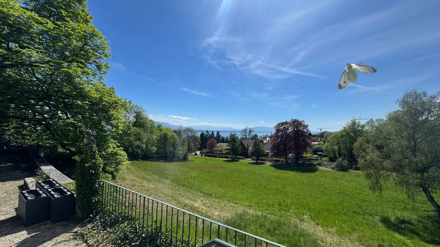 Villa in affitto - 1197 Prangins - Foto 2