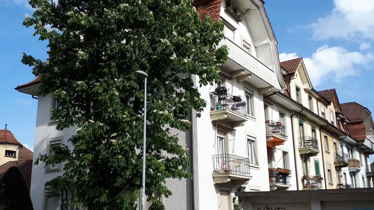 Wohnung mieten - Hochfeldstrasse 63, 3012 Bern