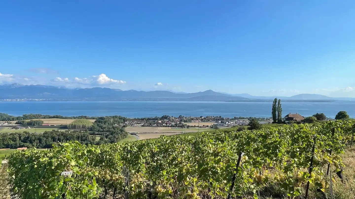 Row house for sale - 1172 Bougy-Villars