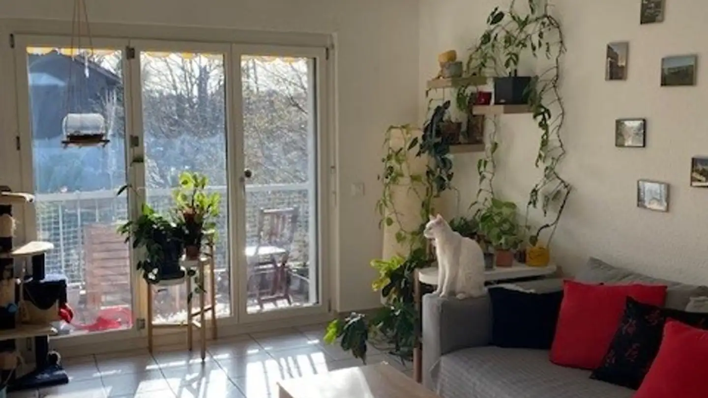 Appartamento in affitto - Chemin De L' Abérieu 55, 1228 Plan-les-Ouates - Foto 3