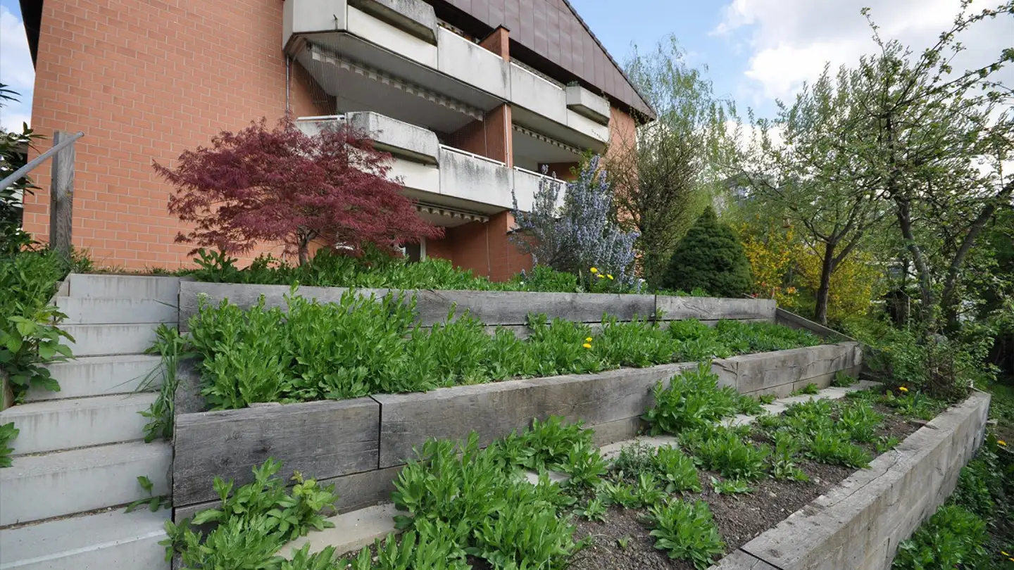 Appartamento in affitto - Weidenweg 8, 4127 Birsfelden