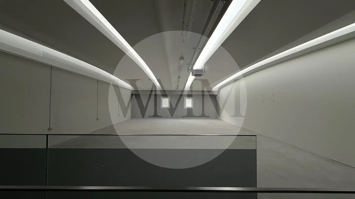 Industrial property for rent - 6616 Losone - Photo 2