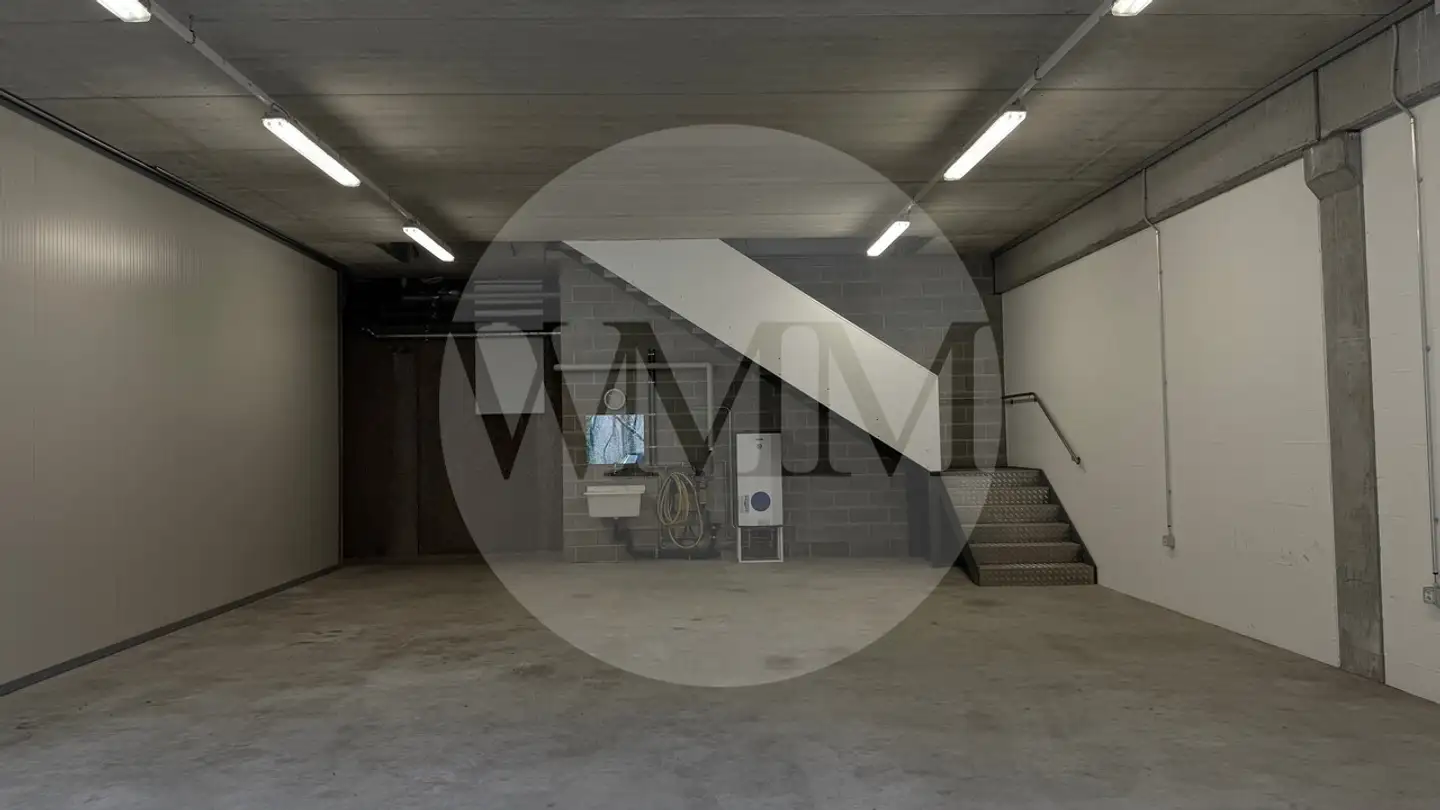 Industrial property for rent - 6616 Losone - Photo 3