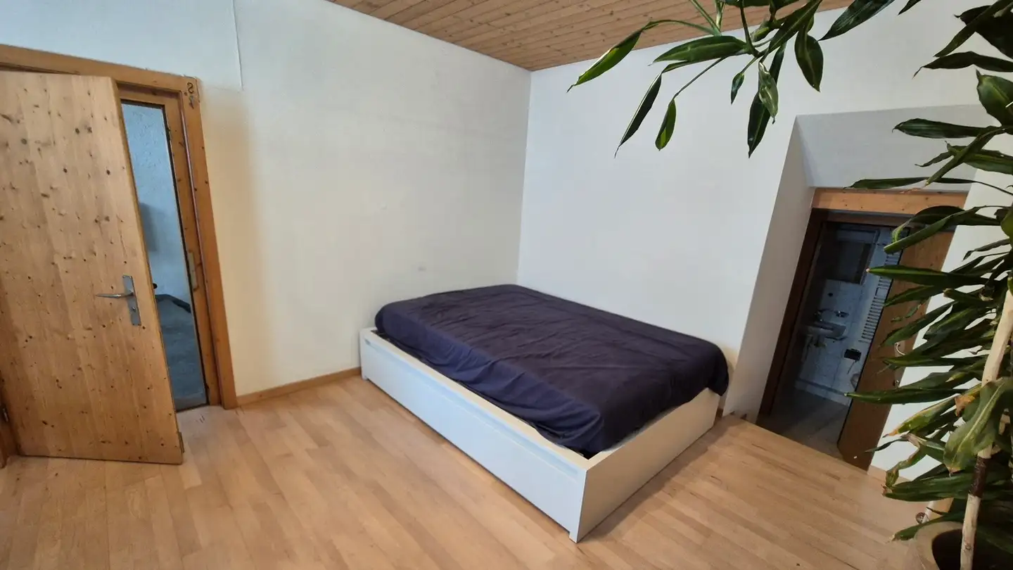 Appartement à louer - 7015 Tamins - Photo 2