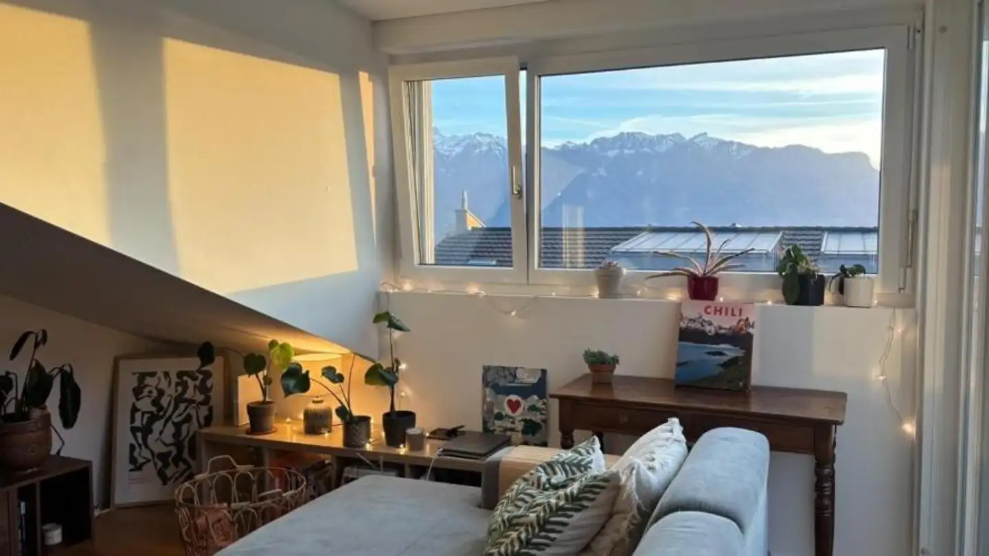 Appartement à louer - Chemin de la Confrérie 17, 1800 Vevey