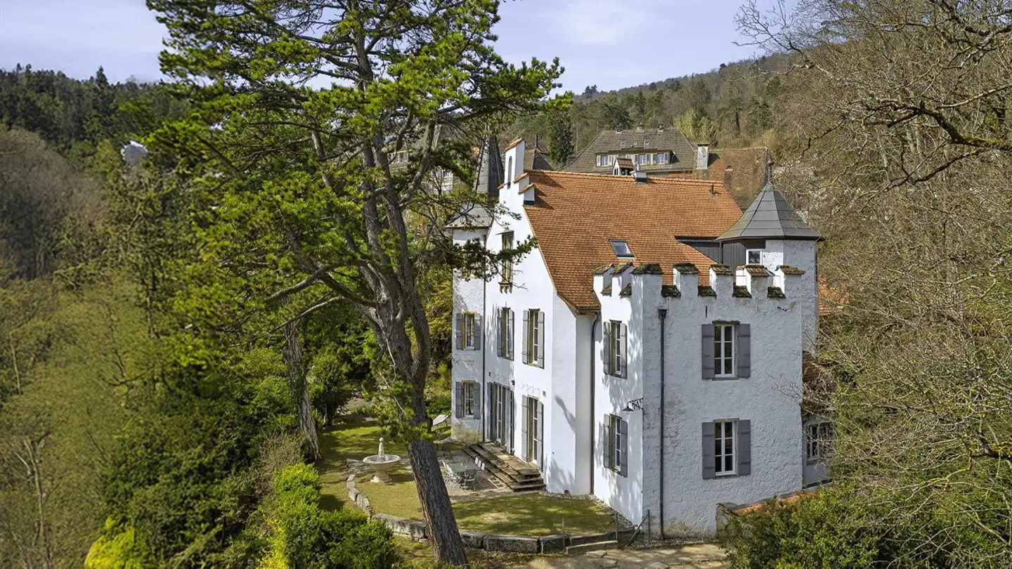 Castello in vendita - Rue Des Alpes / Alpenstrasse 95, 2502 Biel/Bienne