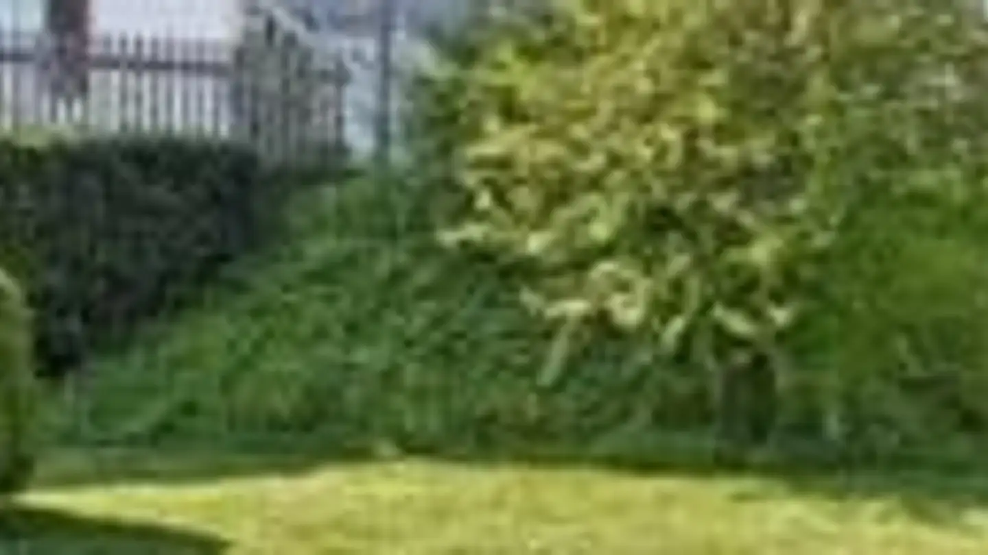 Appartement à louer - Friedhofweg 7, 5426 Lengnau AG