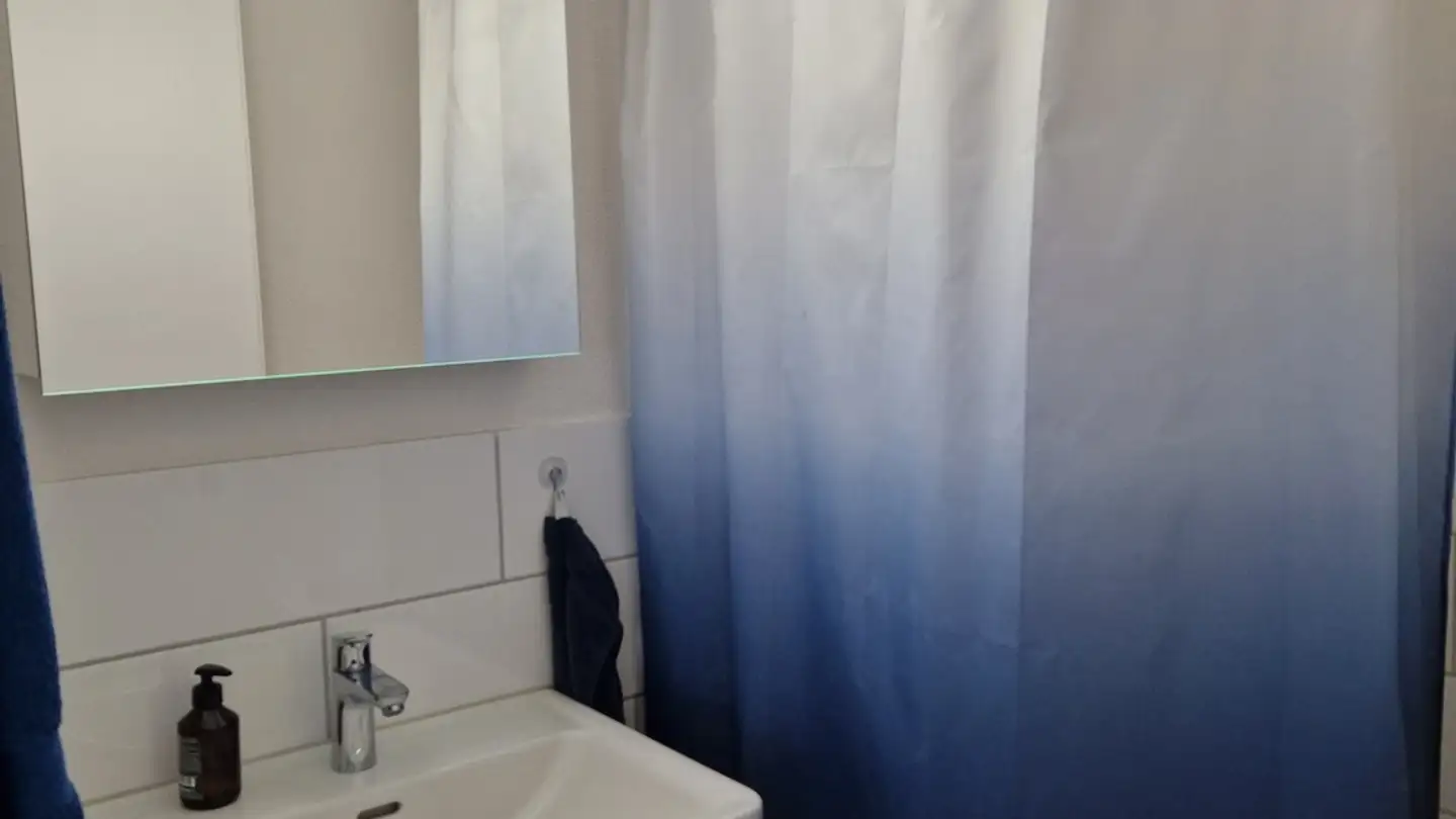 Appartamento in affitto - Gustav Zeiler-Ring 2, 5600 Lenzburg - Photo 4