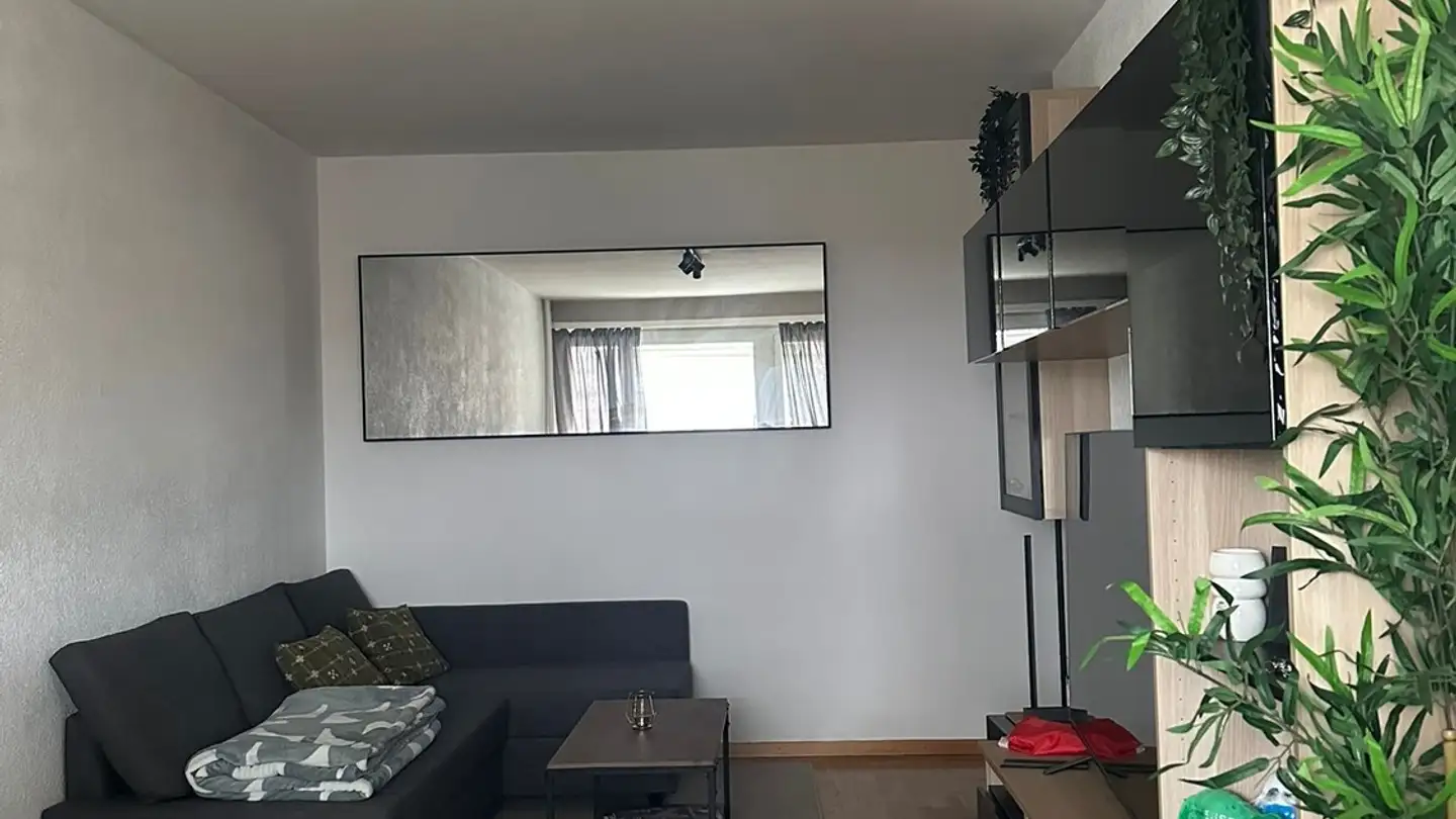 Apartment for rent - Route Du Grand-Lancy, 1212 Grand-Lancy - Photo 4