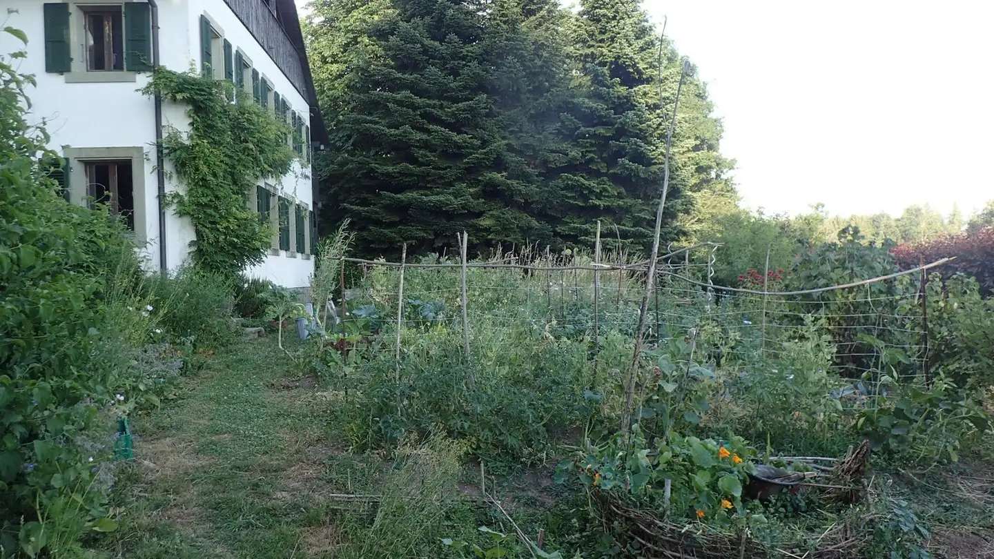 Single room for rent - 1801 Le Mont-Pèlerin - Photo 3