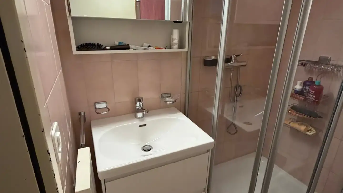 Studio à louer - Untere Mühlestrasse 1, 8105 Regensdorf