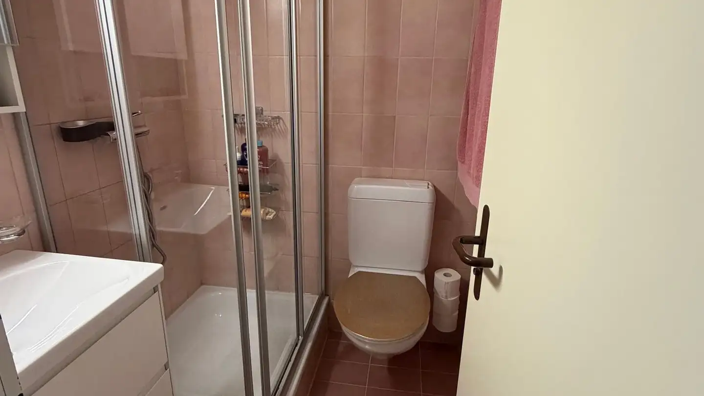 Studio à louer - Untere Mühlestrasse 1, 8105 Regensdorf - Photo 3