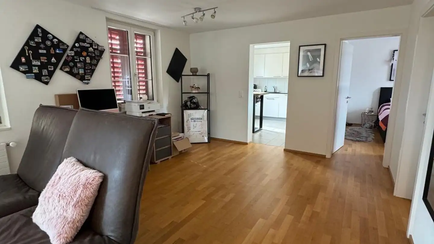 Appartamento a gradini in affitto - Hemmental 9, 8254 Basadingen - Foto 2
