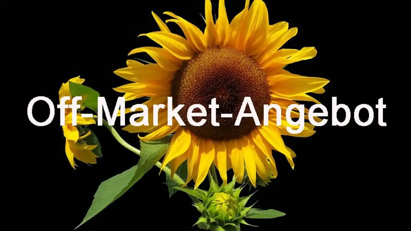 Mehrfamilienhaus kaufen - 6210 Sursee