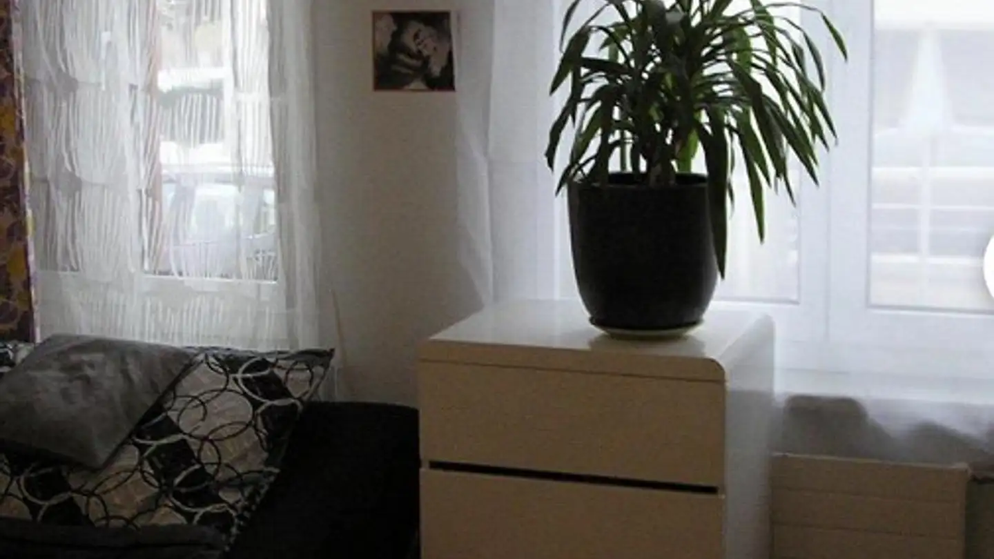 Appartamento a gradini in affitto - Blumenaustrasse 19, 8360 Eschlikon TG - Foto 3