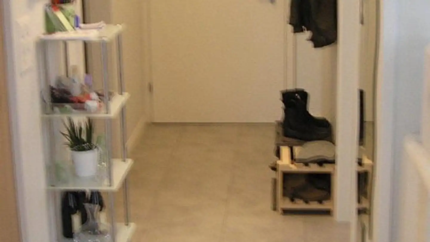 Appartamento a gradini in affitto - Blumenaustrasse 19, 8360 Eschlikon TG - Foto 4