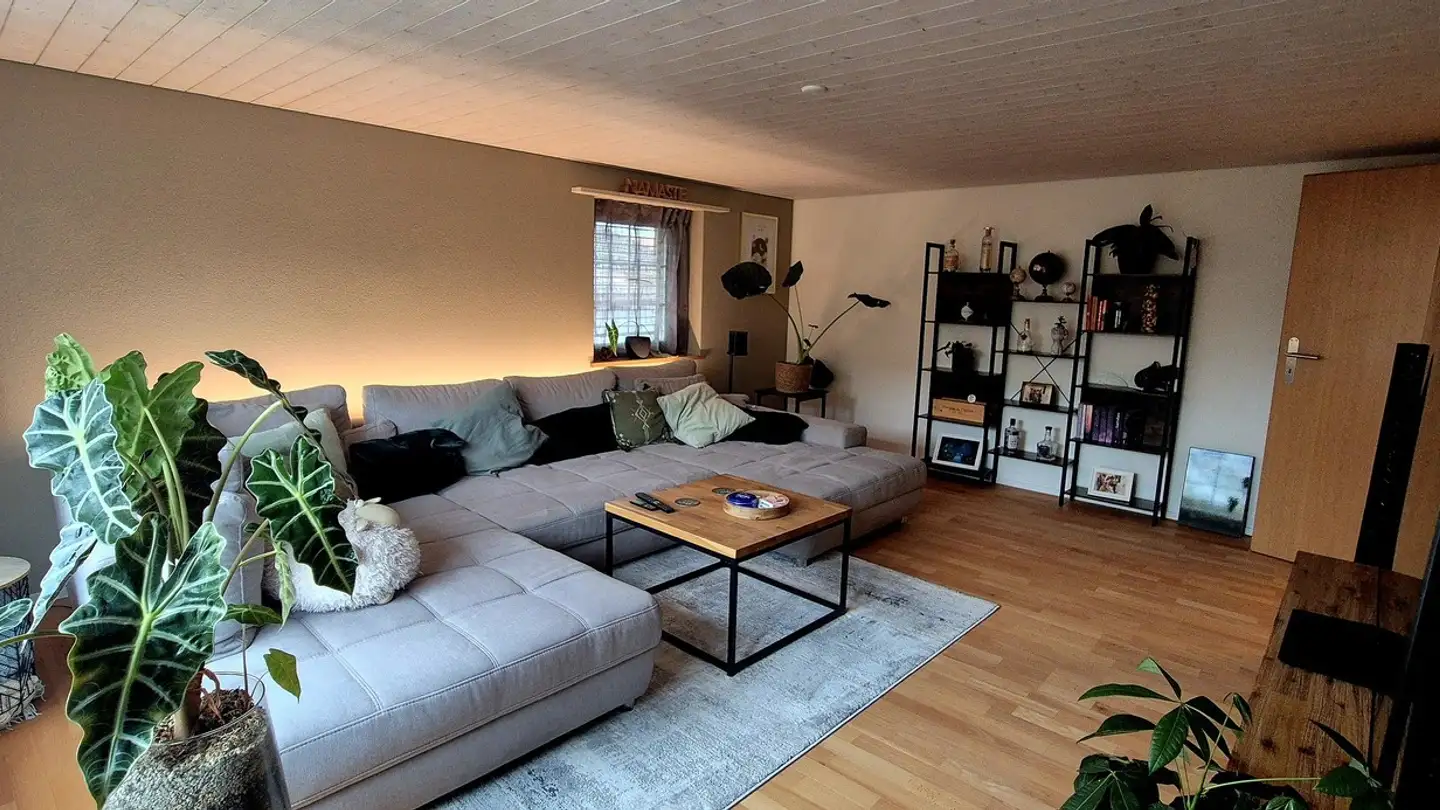 Appartement à louer - Jakob Stutz-Strasse 8, 8335 Hittnau