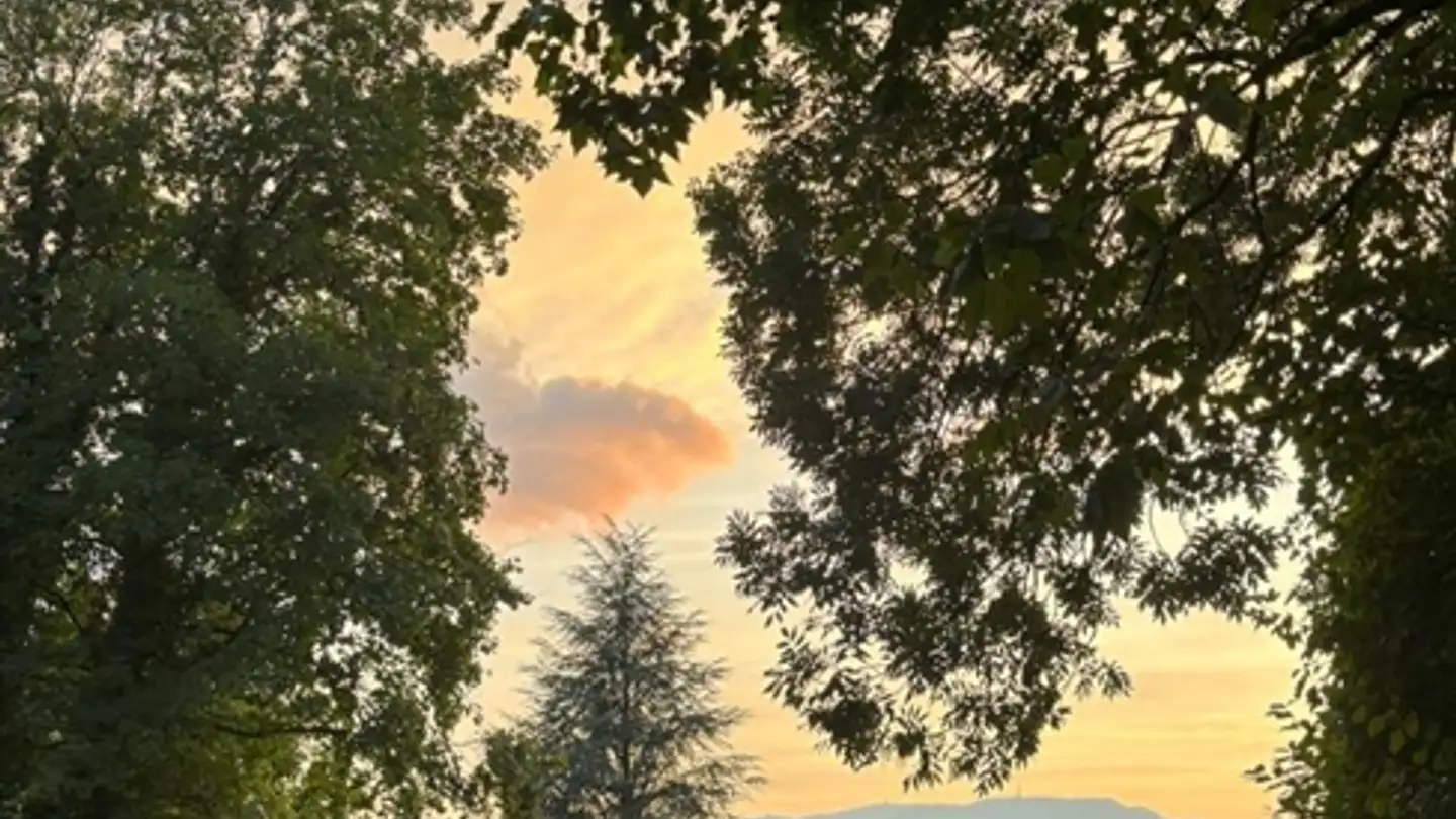 Appartement à louer - Résidence Du Golf E, 1196 Gland