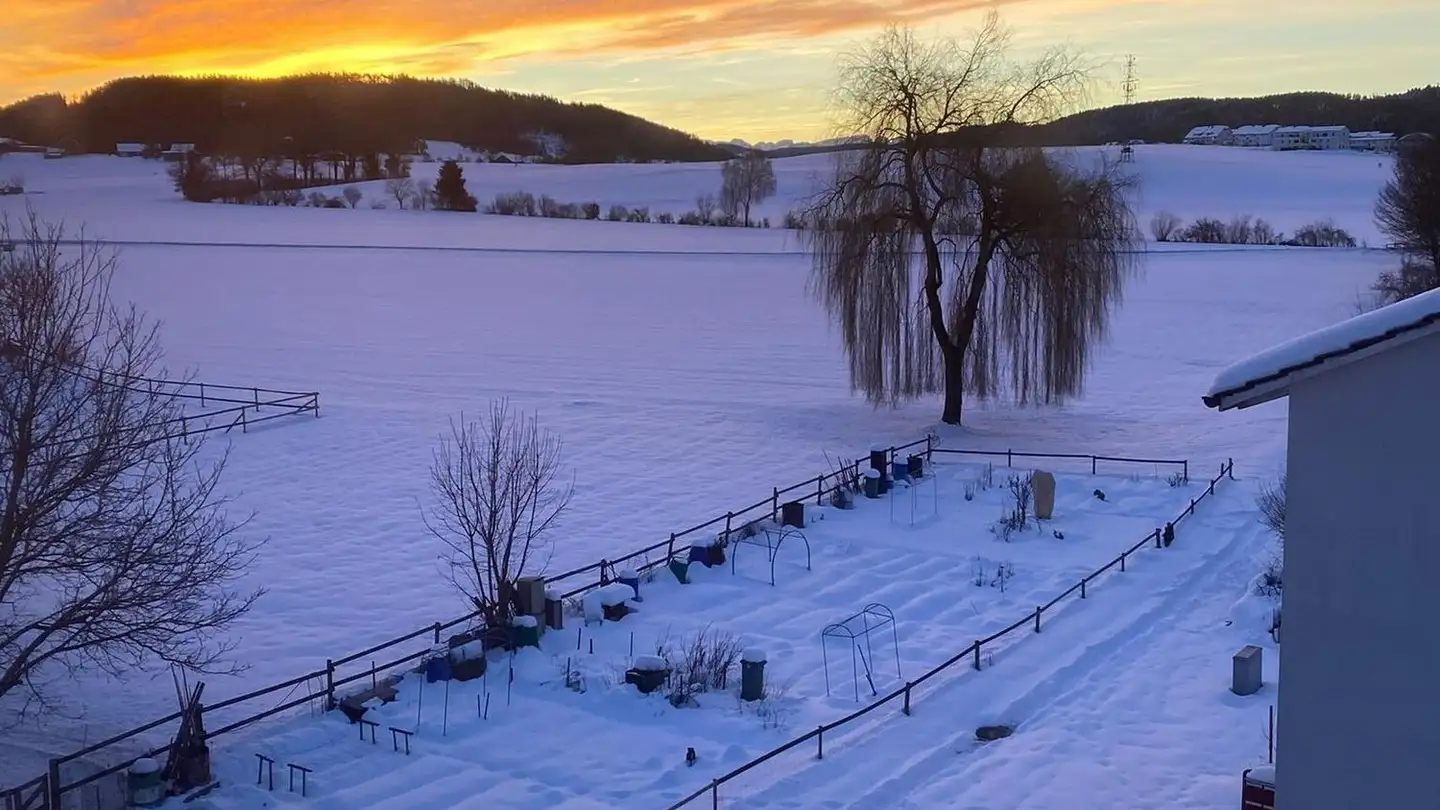 Wohnung mieten - Friedauweg 3, 8355 Aadorf - Foto 3