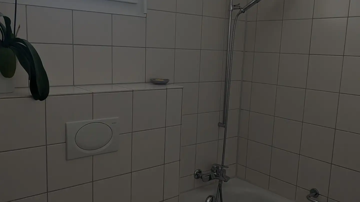 Appartamento in affitto - Steinbühlallee 108g, 4123 Allschwil - Foto 2