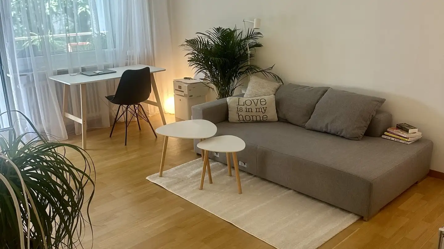 Appartement meublé à louer - Küngenmatt, 8055 Zürich - Photo 2