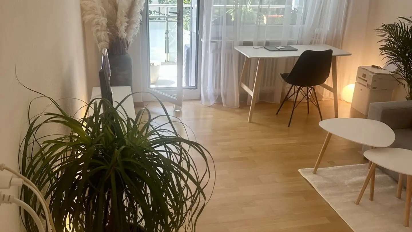 Appartement meublé à louer - Küngenmatt, 8055 Zürich - Photo 3