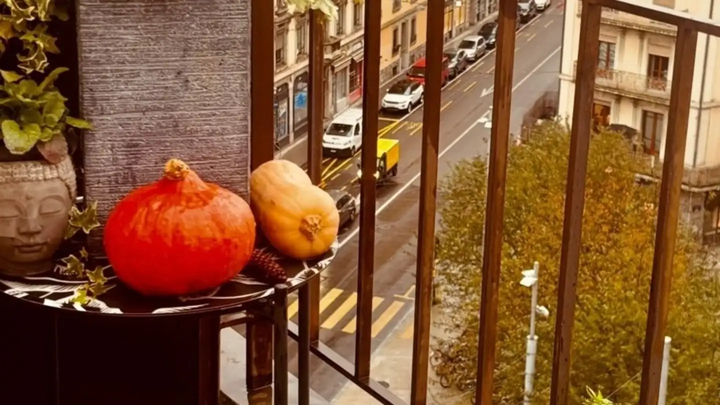 Apartment for rent - Rue Des Deux-Ponts 18, 1205 Genève - Photo 2