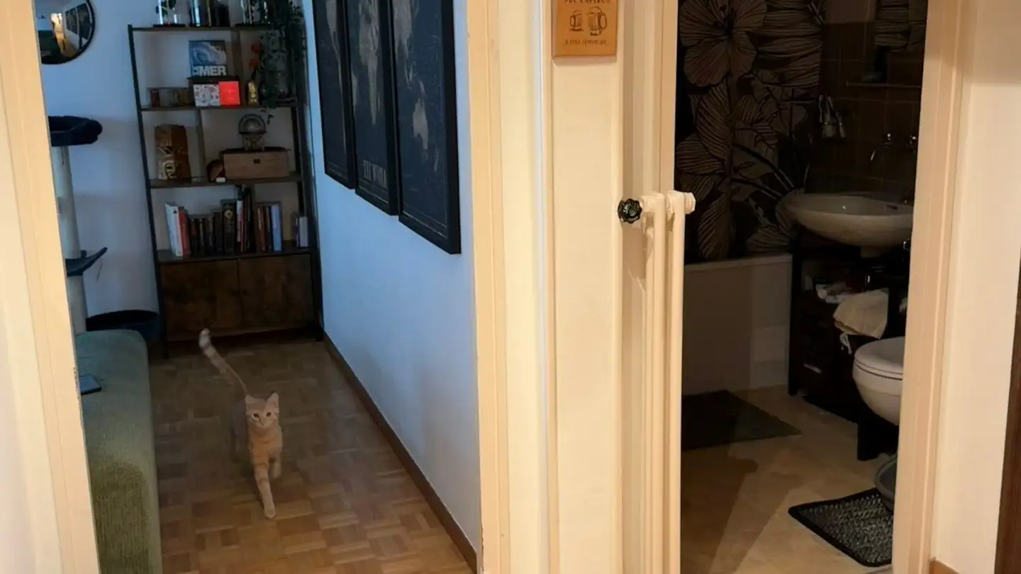 Appartamento in affitto - 1028 Préverenges - Photo 3