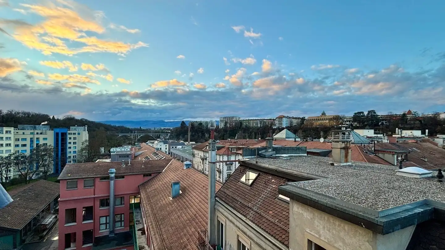 Apartment for rent - Rue Des Deux-Ponts 18, 1205 Genève - Photo 3