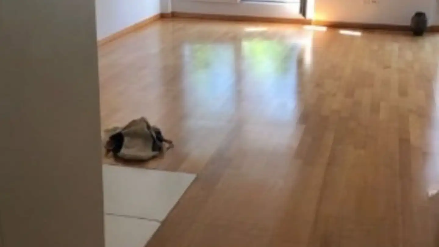 Wohnung mieten - Uitikonerstrasse 27, 8952 Schlieren