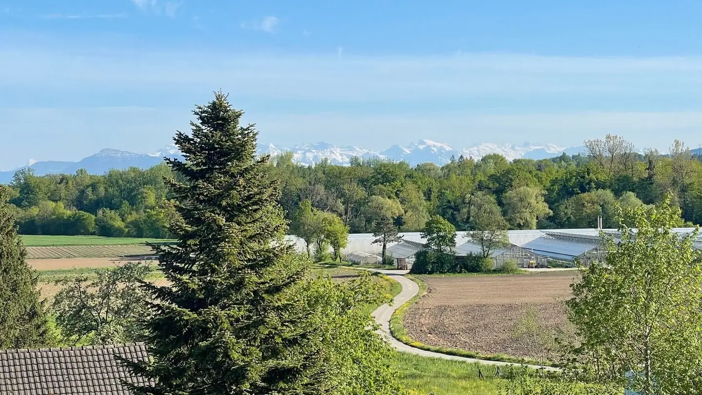 Apartment for rent - Unterdorfstrasse 10, 5445 Eggenwil - Photo 4