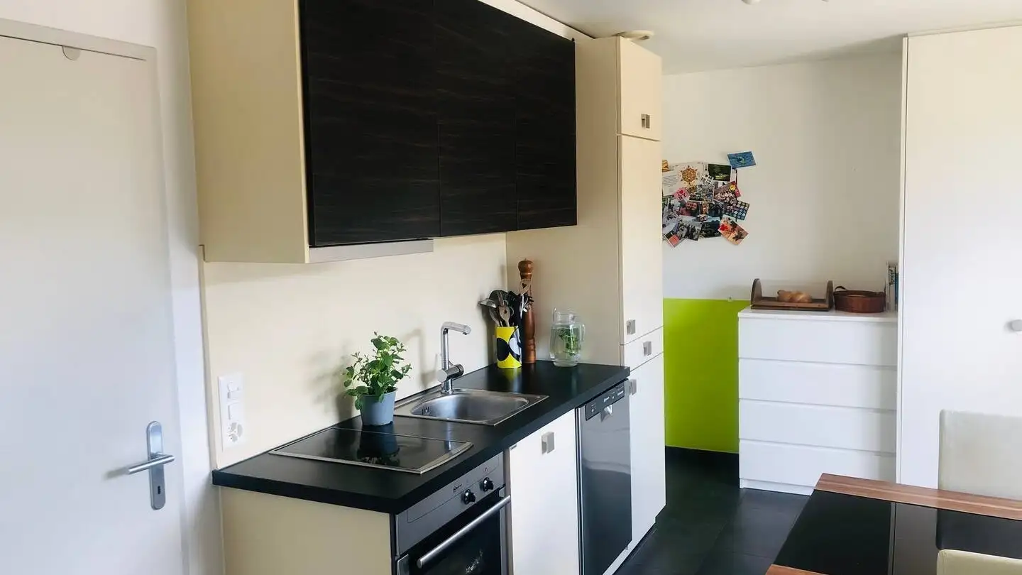 Apartment for rent - Im Grafenstein 50, 8408 Winterthur - Photo 4