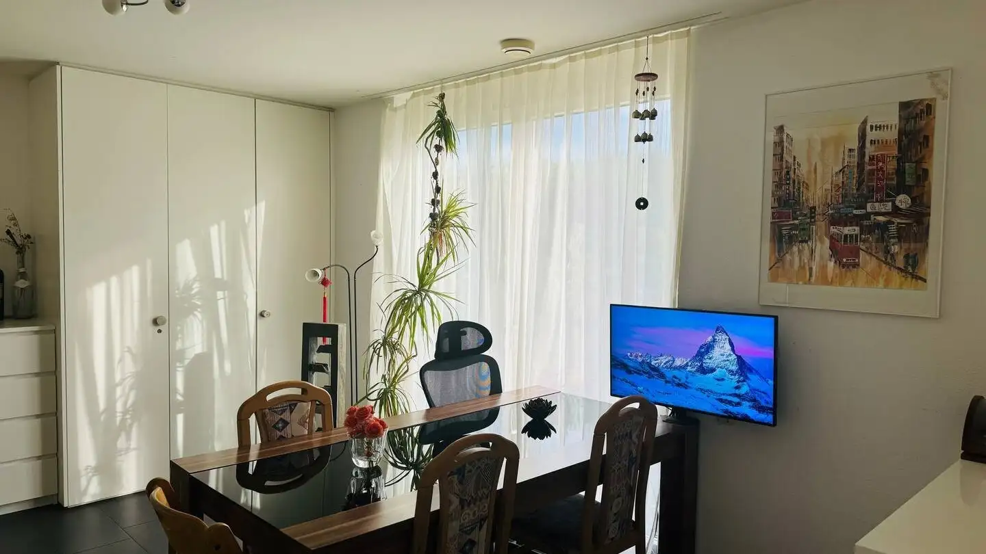 Appartement à louer - Im Grafenstein 50, 8408 Winterthur