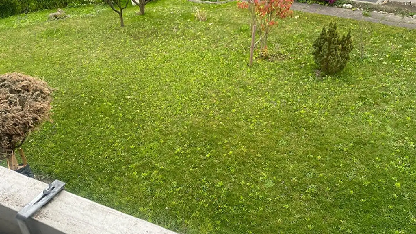 Appartamento in affitto - Auerstrasse 14, 9435 Heerbrugg - Foto 4