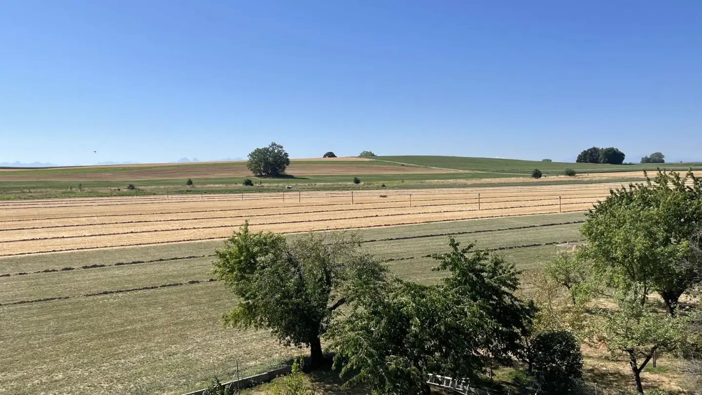 Wohnung mieten - Route De Gletterens 93, 1568 Portalban