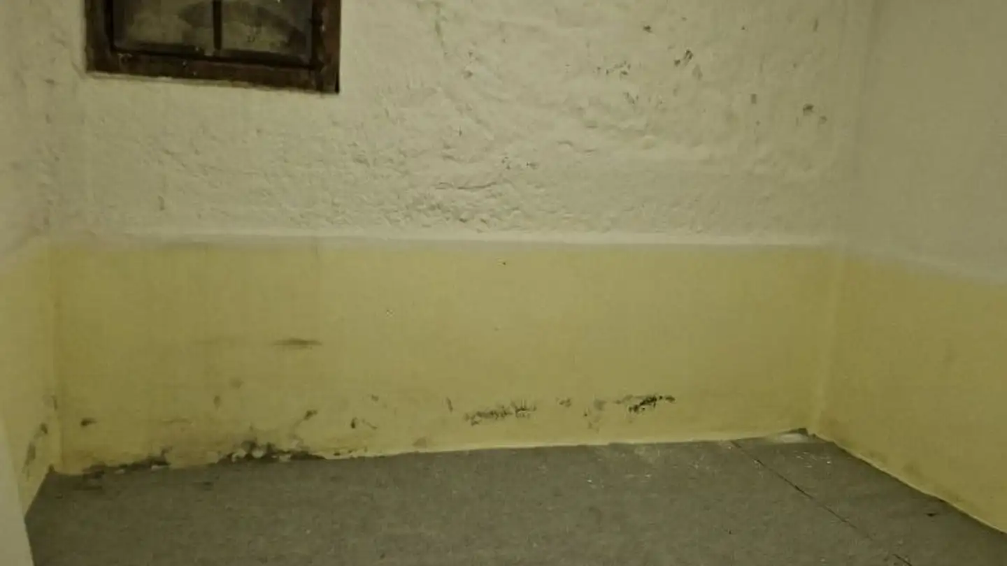 Espace de stockage à louer - Dornacherstrasse 203, 4053 Basel - Photo 3